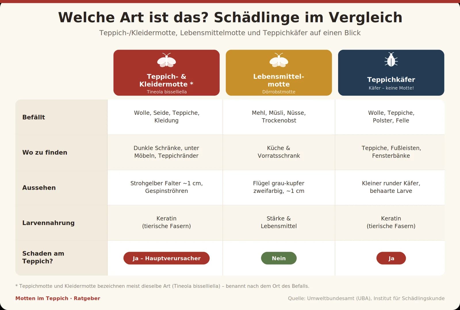 Vergleich von Teppichmotte, Kleidermotte und Lebensmittelmotte im Überblick